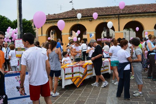 Marcia Missione possibile Nisshash Erba giugno 2013 (15)