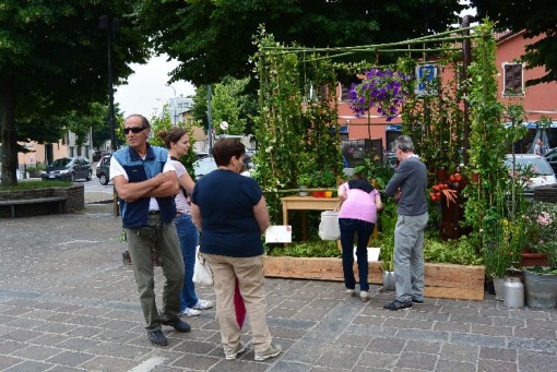 Orti di erbe per Erba giugno 2013 (6)