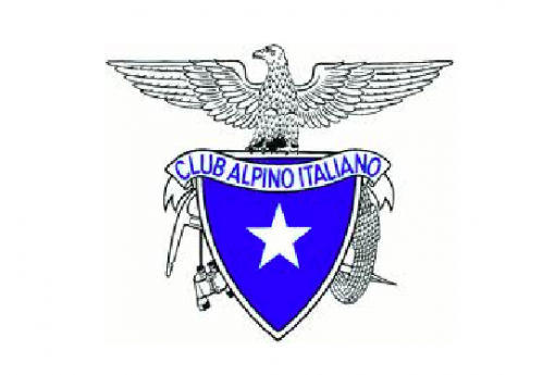 logo cai