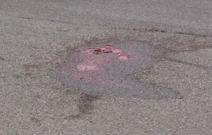 Incidente Sirone luglio 2013 (4)