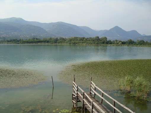 lago1__