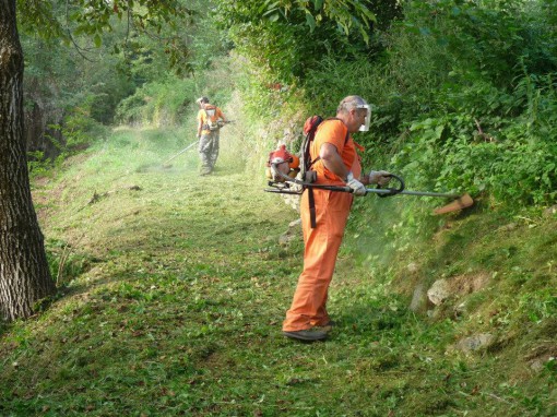 Protezione civile di Albavilla pulizia dei sentieri di Carcano settembre 2013 (2)
