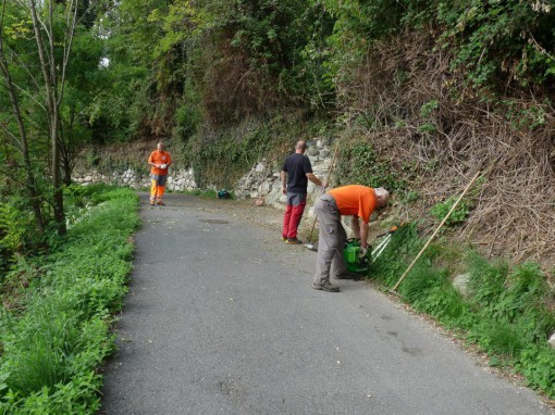 Protezione civile di Albavilla pulizia dei sentieri di Carcano settembre 2013 (3)