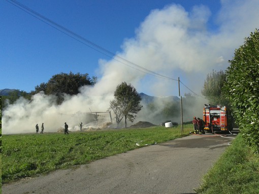 incendio costa - azienda agricola (2)