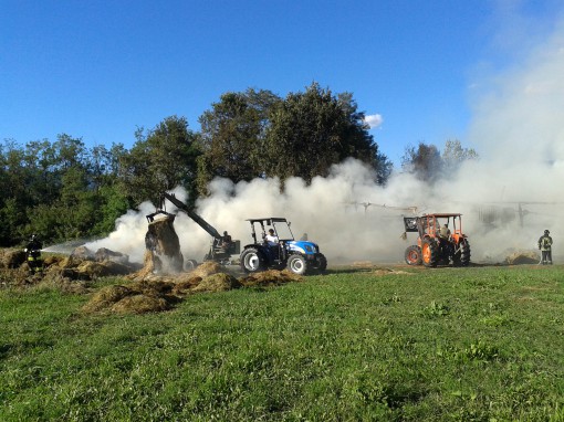 incendio costa - azienda agricola (3)