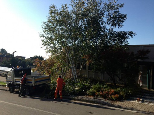 Albavilla Protezione civile ottobre 2013 (1)