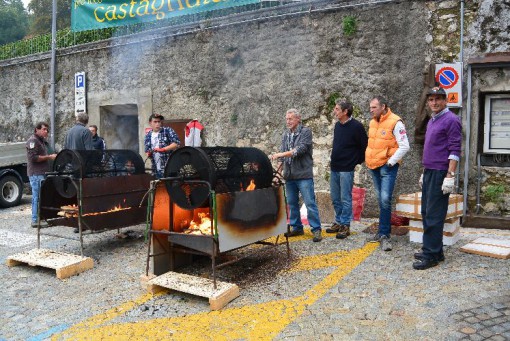 Albese mercatino degli hobby, castagnata e concerto per carlo cova ottobre 2013 (21)