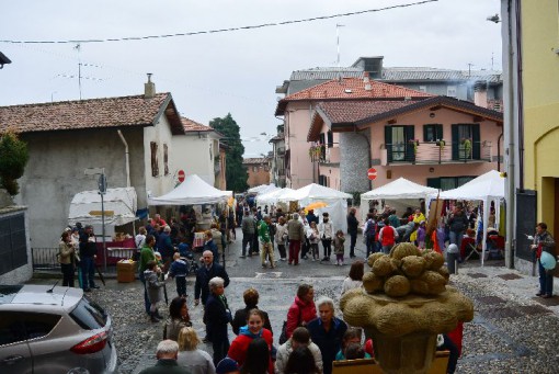 Festa dei crotti Albavilla ottobre 2013 (4)