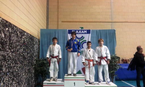Judo Ponte bosis