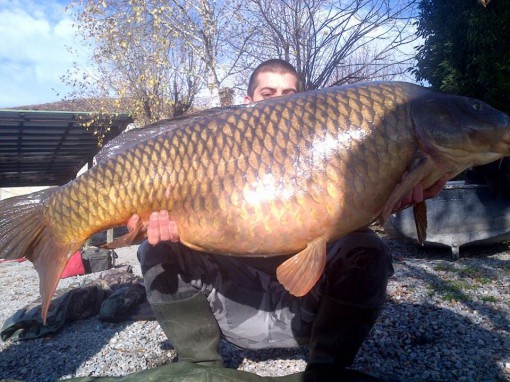 carpa 28 kg lago pusiano