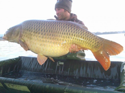 carpa 32 kg lago pusiano