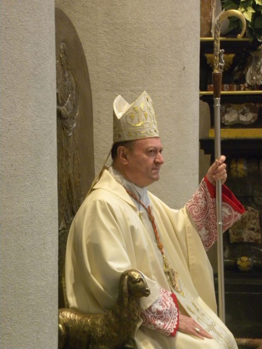 Cardinal Ravasi Lurago dicembre 2013 (8)
