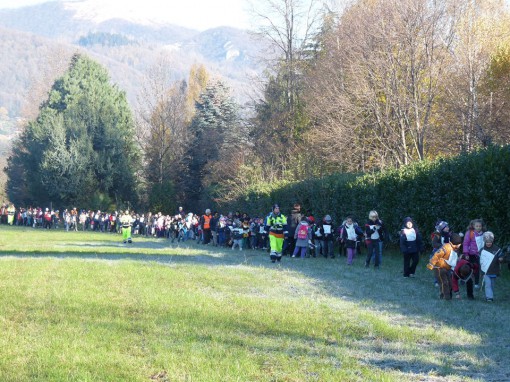 Scuola Albavilla camminata per adottare bambina del ruanda novembre 2013 (5)