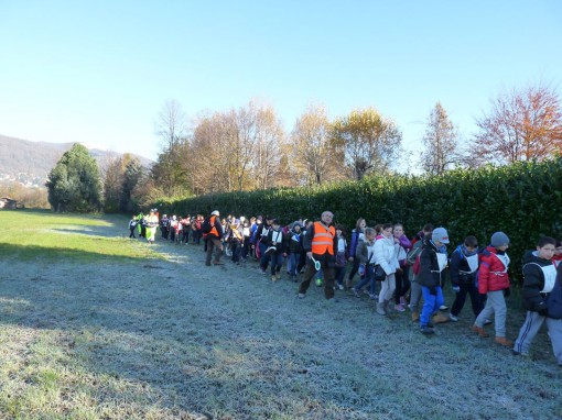 Scuola Albavilla camminata per adottare bambina del ruanda novembre 2013 (6)