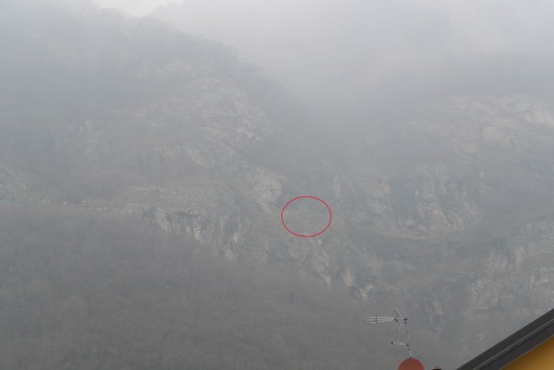 Pecore Caslino gennaio 2014 (1)