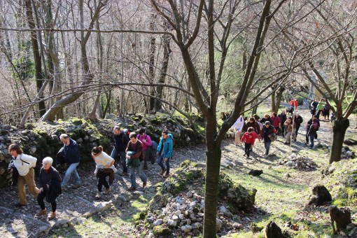 Trekking escursionistico Lago Pusiano 1