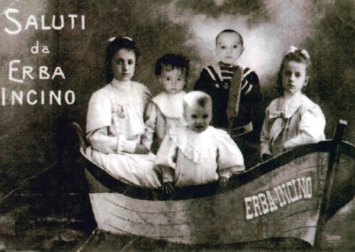 erba incino