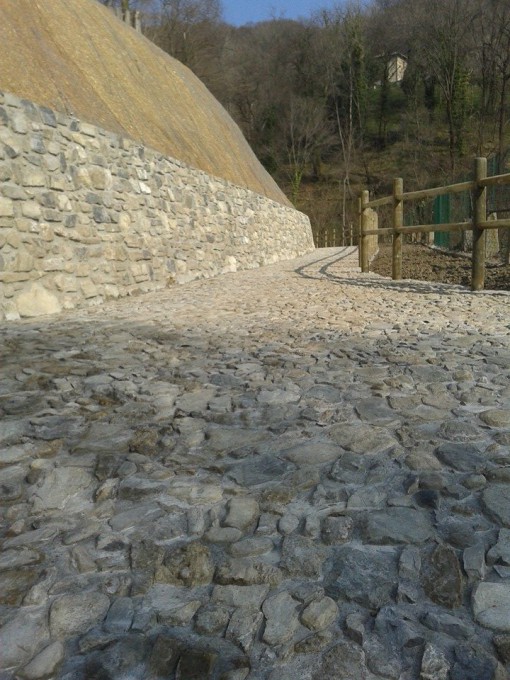 Albese via Ai Monti marzo 2014 (2)