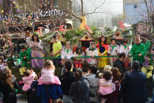 Carnevale Erba marzo 2014   (38)