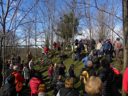 Vie maestre Lurago marzo 2014 (3)