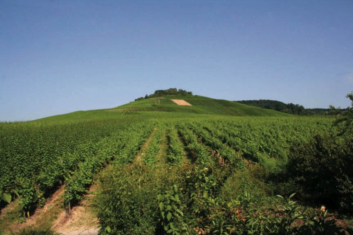 Kappelberg