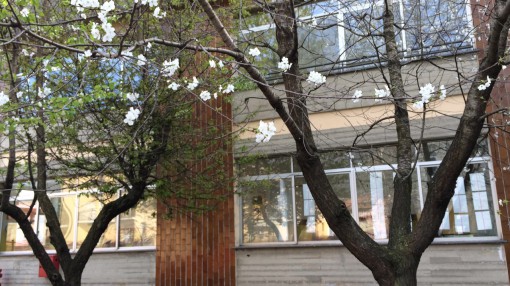 Lavori scuola Ponte Lambro aprile 2014 (1)