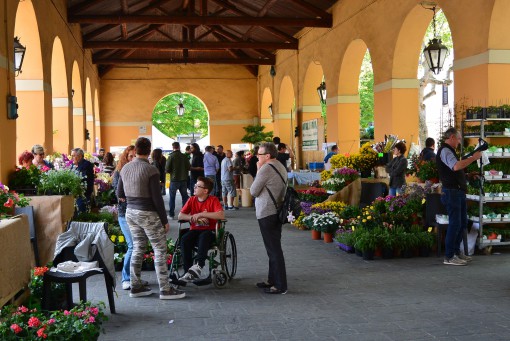 PrimaveraErba aprile 2014 (7)