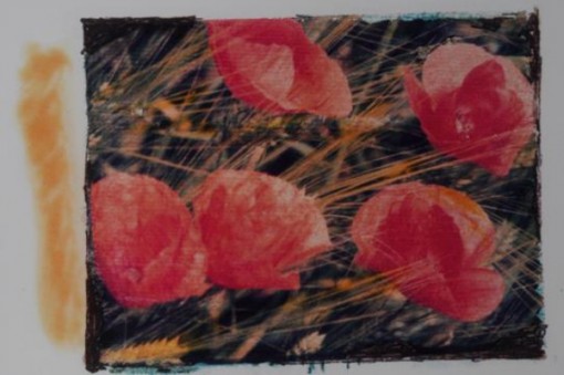 Mostra Luigi Corbetta maggio giugno 2014 (4)