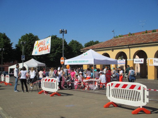 camminata amici di carola erba maggio 2014 (2)