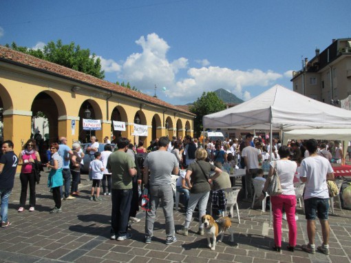 camminata amici di carola erba maggio 2014 (5)