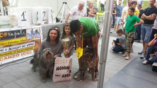 festa del bastadino erba (10)