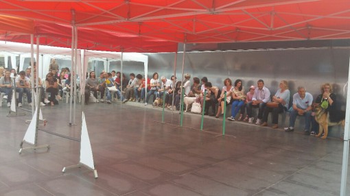 festa del bastadino erba (2)