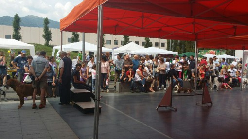 festa del bastadino erba (3)