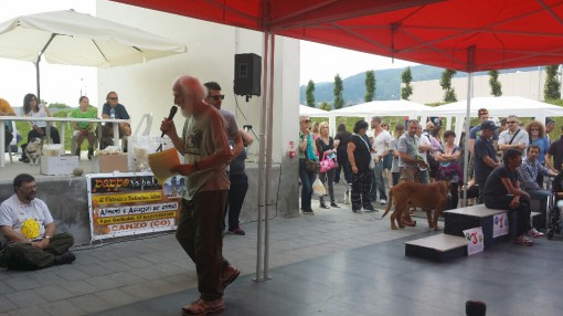 festa del bastadino erba (4)