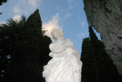 Consegna statue classe '64 viale dei cipressi Erba giugno 2014 (12)