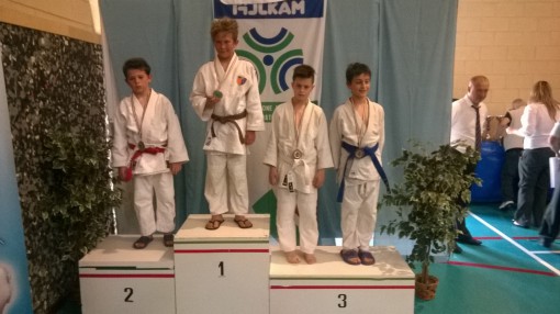 Judo Ponte giugno 2014 (3)