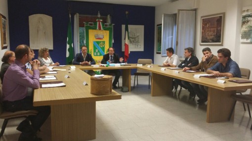 insediamento consiglio comunale alserio, giugno 2014 (1)