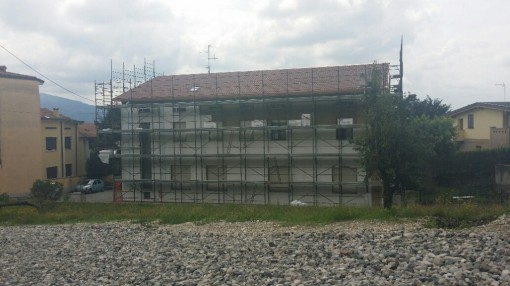 asilo suello