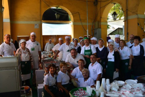 Alpini Ferragosto 2014 Erba (13)