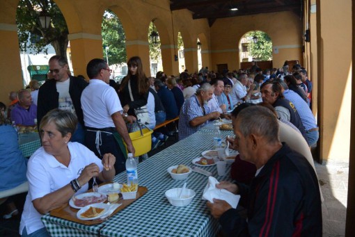 Alpini Ferragosto 2014 Erba (2)