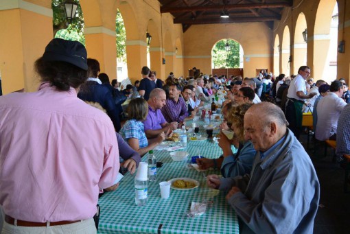 Alpini Ferragosto 2014 Erba (3)