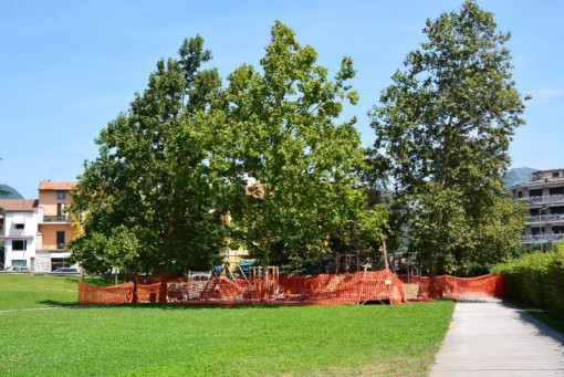 Parco Majnoni Erba agosto 2014 (1)