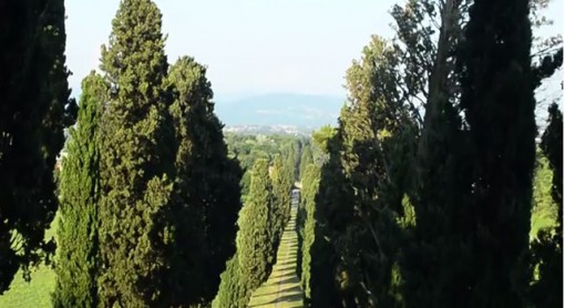 Viale dei cipressi Inverigo (2)