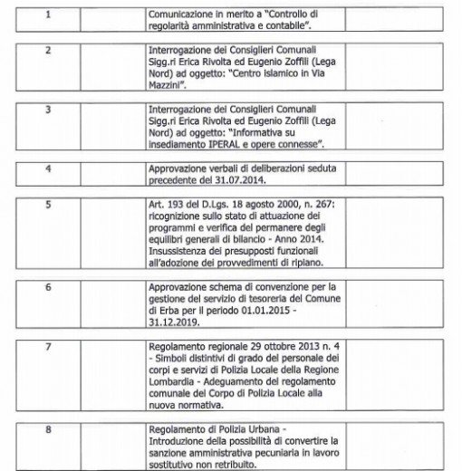 Consiglio comunale Erba 29 settembre 2014