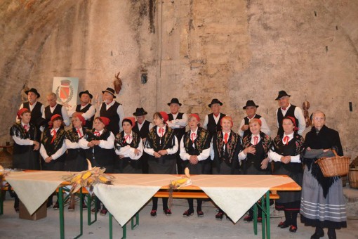 Festa dei crotti Albavilla settembre 2014 (3)