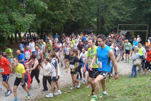 Giroingiro gruppo Bolettone Albavilla settembre 2014 (5)