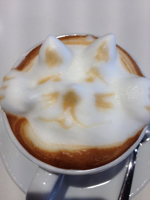 cappuccino