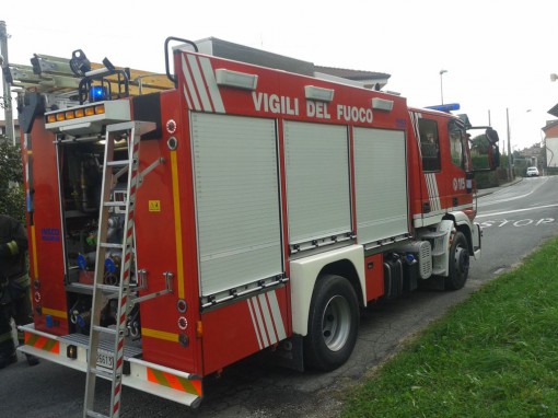 Api campana del vetro Lambrugo ottobre 2014 (3)