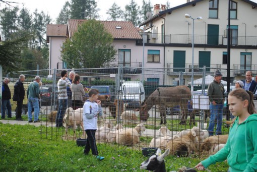 Fera dal Paisan bambini scuola materna ottobre 2014 (1)