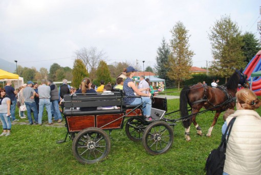 Fera dal Paisan bambini scuola materna ottobre 2014 (4)